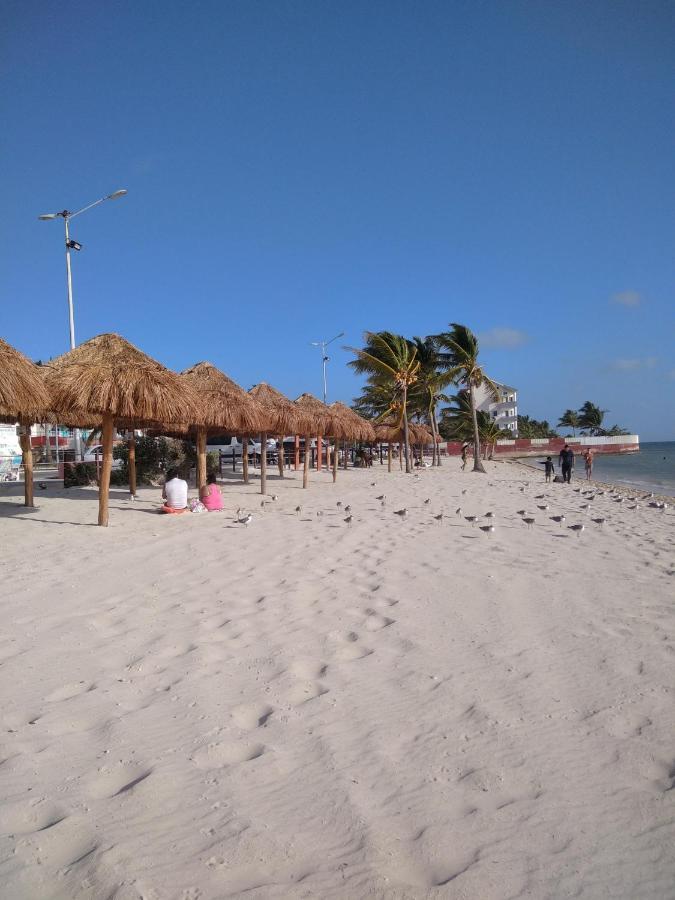 Mexican Room In Art Studio Cancún Zewnętrze zdjęcie